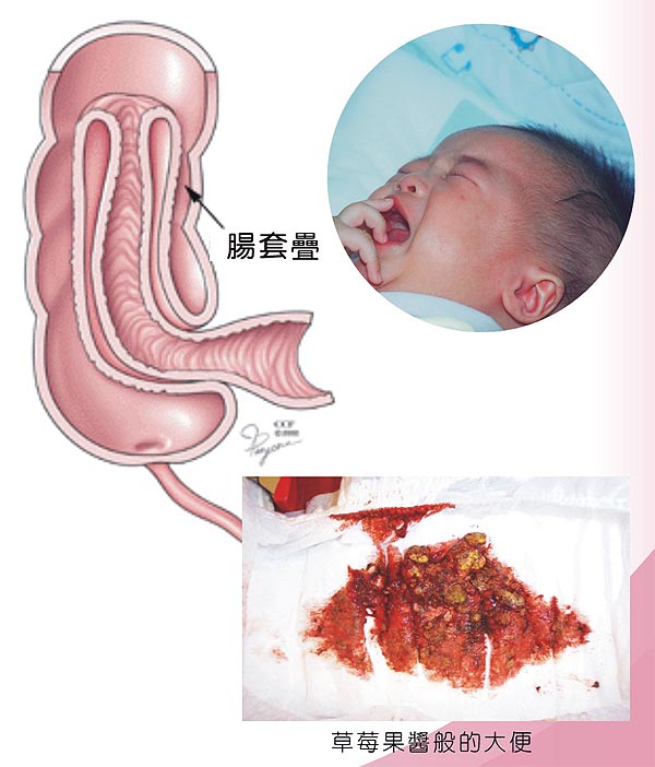 org引用jtym.com部分网页内容的声明